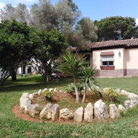 Chalet En La Barrosa, Piscina+Bbq+Grifo De Cerveza 奇克拉纳－德拉弗龙特拉 外观 照片